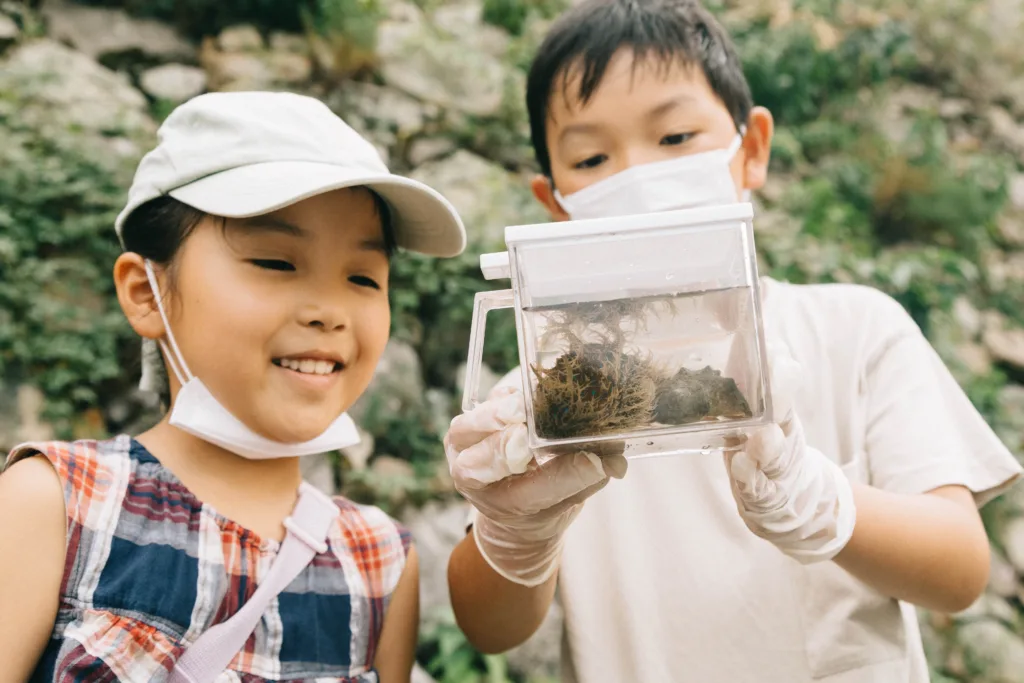 生物を見つける子供